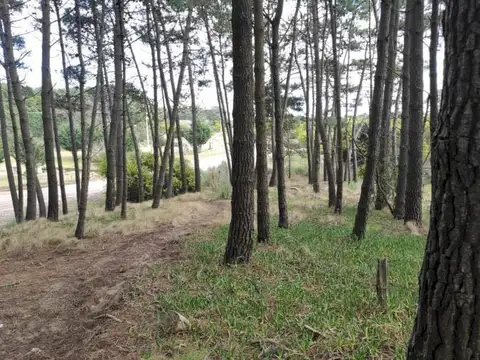 Terreno en Venta 10  mts Frente