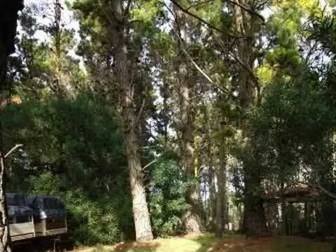 Terreno en Venta de 600,0 m2