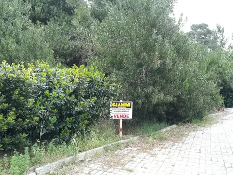 Terreno - Venta - Argentina, Mar de las Pampas