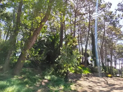 Terreno en Venta 10  mts Frente