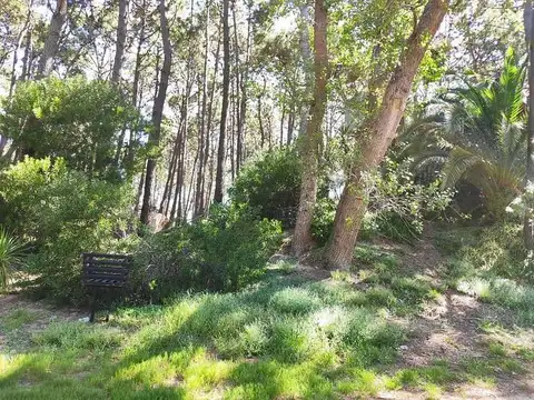 43 entre Punta del Este y 100