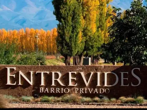 Terreno en Tupungato 