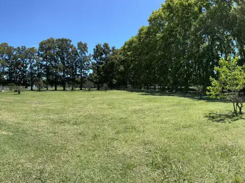 Terreno en Venta en Fighiera, USD 50.000