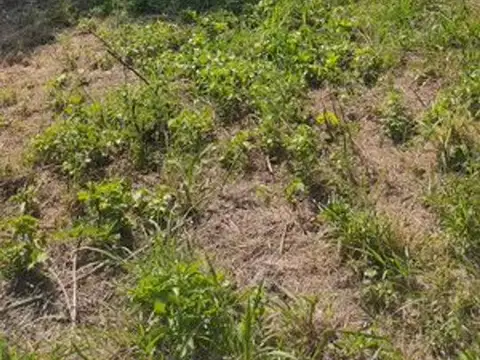 Venta Lote Cuesta Colorada 484mts