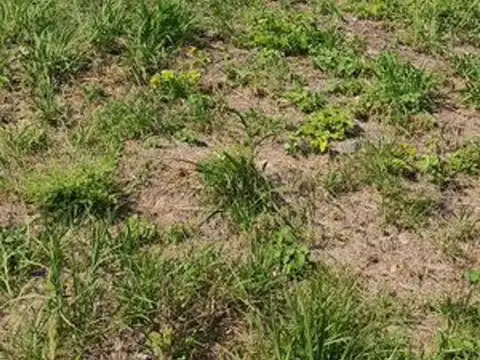 Terreno en Venta en La Calera, USD 35.000