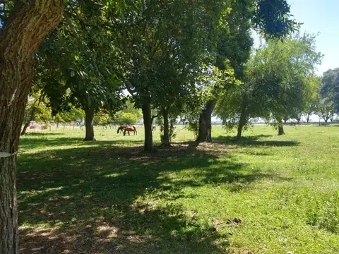 Venta Lote apto comercial sobre RN8 - a pasos de San A. de Areco