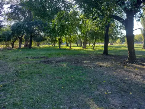 Terreno en Venta de 11700,0 m2