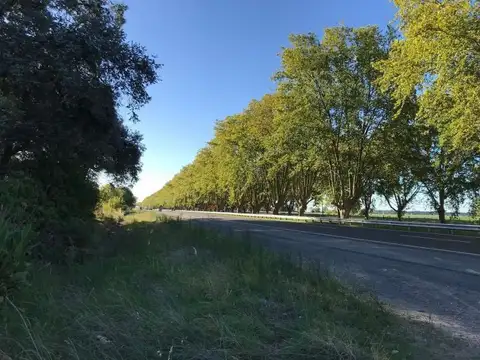 Venta Lote apto comercial sobre RN8 - a pasos de San A. de Areco