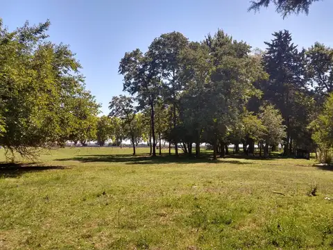 Venta Lote apto comercial sobre RN8 - a pasos de San A. de Areco