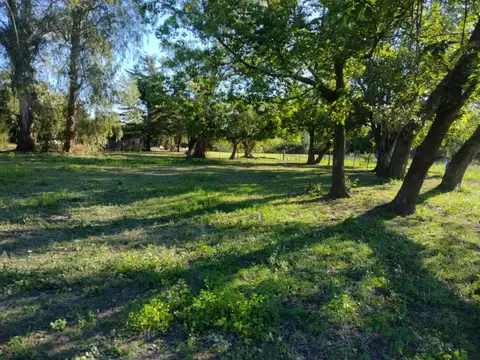 Terreno en Venta en San Antonio de Areco, USD 120.000