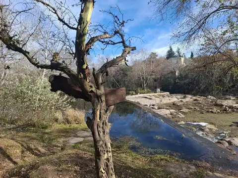 Terreno en Venta de 300,0 m2