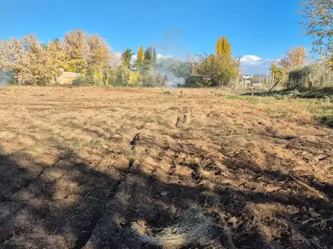 LOTE DE 478 m2.  TUPUNGATO