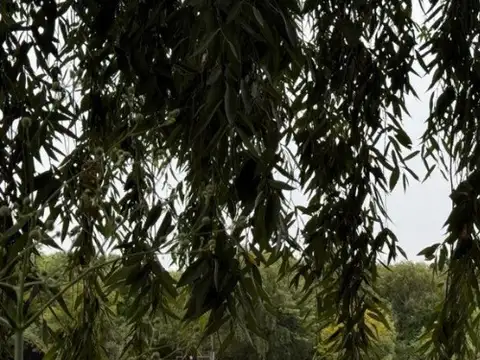 Terreno Lote  en Venta en Islas de Zarate, Zárate, G.B.A. Zona Norte