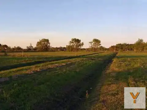 Terrenos en venta - 1.000Mts2 - Arana
