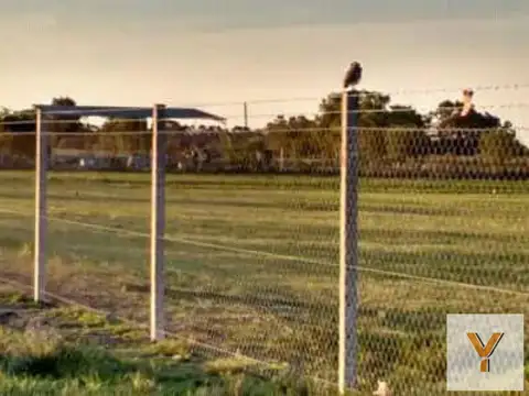 Terreno en Venta de 1000,0 m2