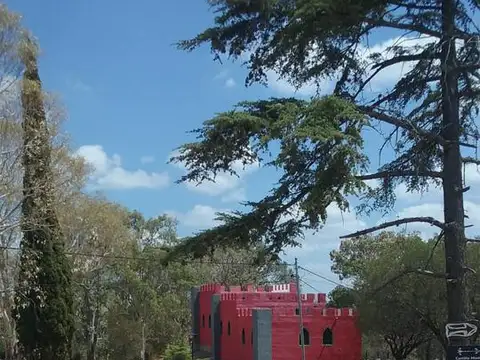 Complejo