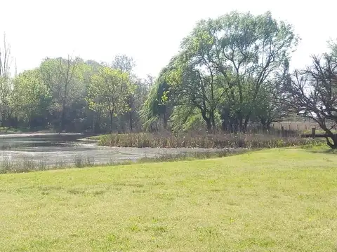 4 has Barrio Miralejos 100