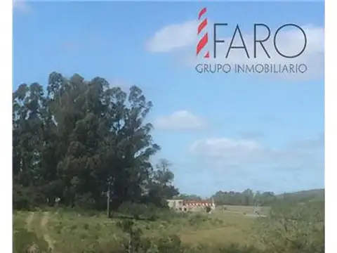 Chacras en Venta en Rutas 9 y 12, total 12.6 hectáreas