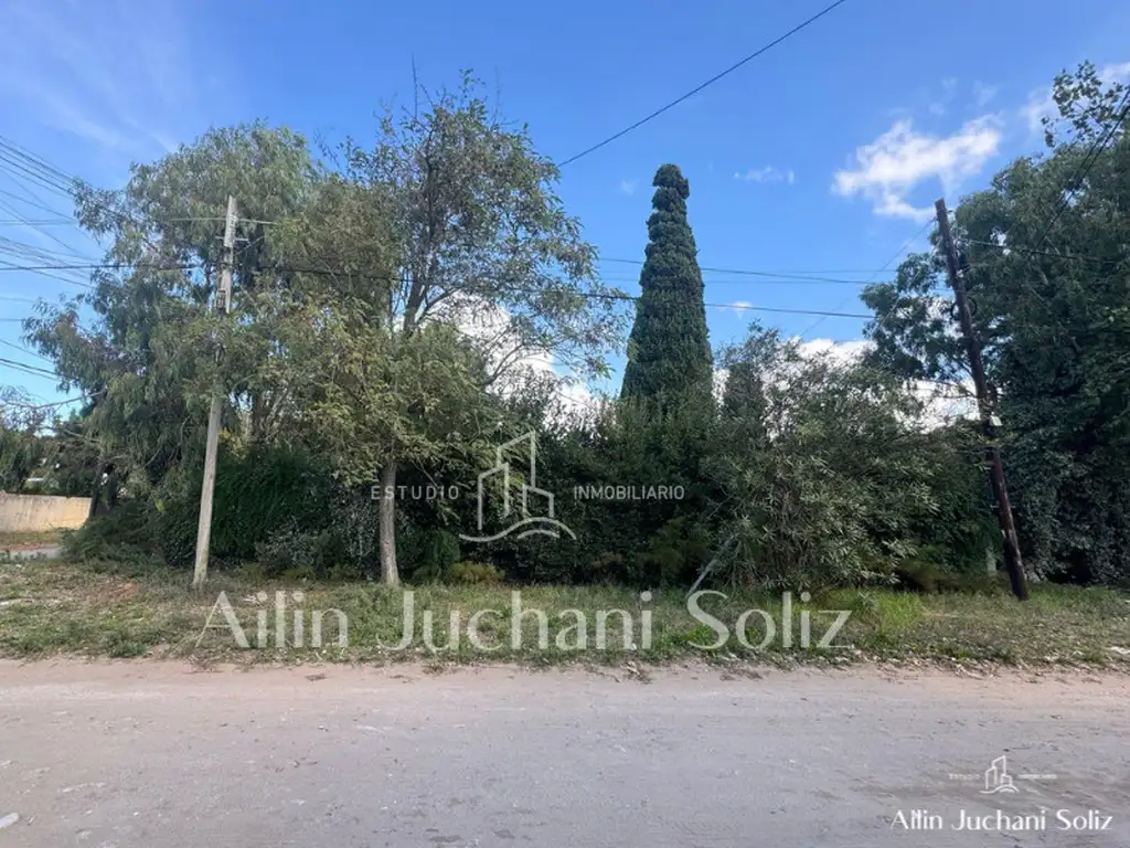 VENECIA XX - Foto 21