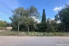 VENECIA XX - Foto 21