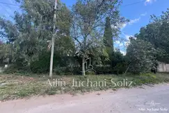 VENECIA XX - Foto 20