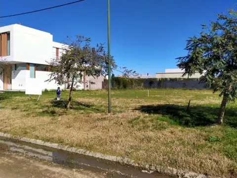 Terreno - El Quimilar