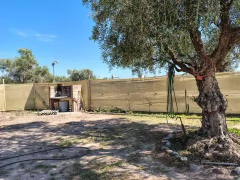 Videla Castillo 2000