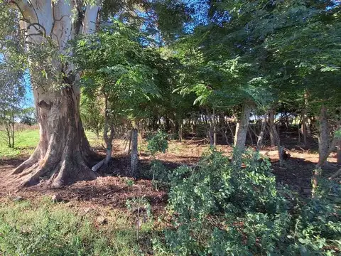 Camino Secundario 082-07