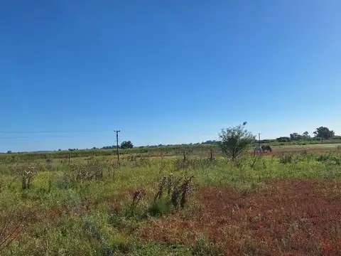 Camino Secundario 082-07