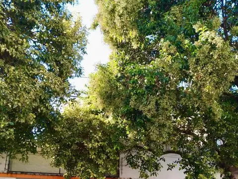 Casa en Alquiler en Rosario, Santa Fe