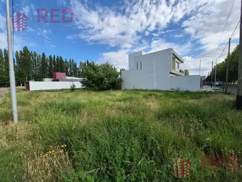 Las Orquideas y Los Narcisos