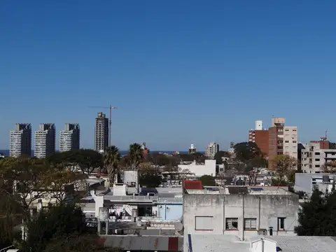 Plutarco 3900
