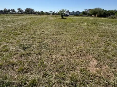 Lote 1000 m2 Sinsacate
