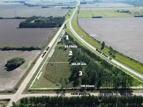 Se vende Lote de 2,39 hectáreas sobre RP 31 Avda