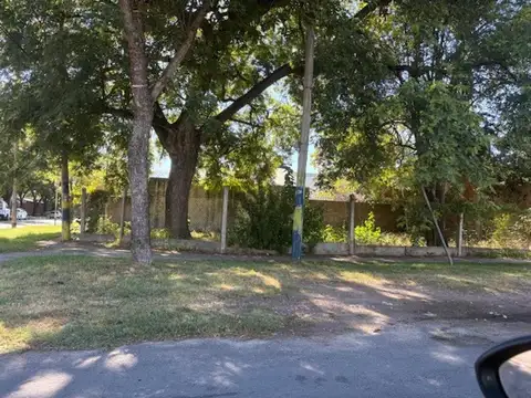 Los Olivos Y Chaco