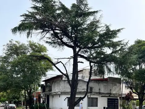 Avellaneda  al 500