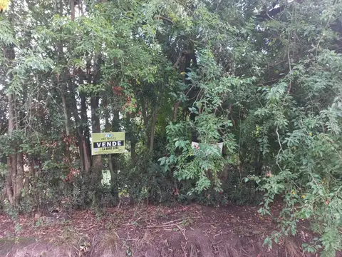 Terreno en Venta 14,40  mts Frente