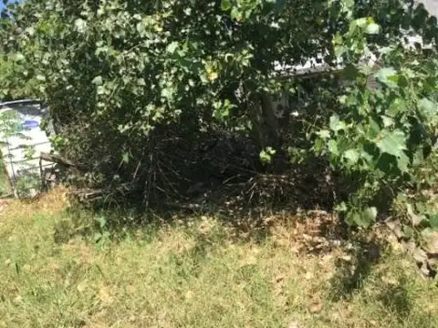 Ideal lote para Emprendimiento en Ravignani a mts Ruta 26 y B° Bermudas