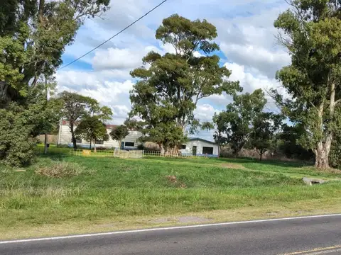 CHACRA EN VENTA 16HA EN RTA NAC. 226 Y 3-AZUL