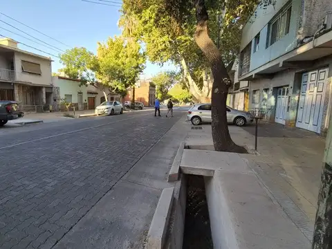 Pueyrredon 100