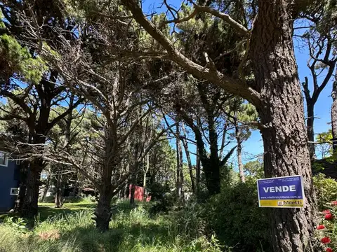 Terreno en Venta, FOS 0,8