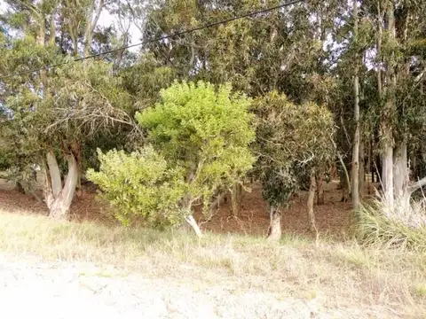 Calle juanita soria 100