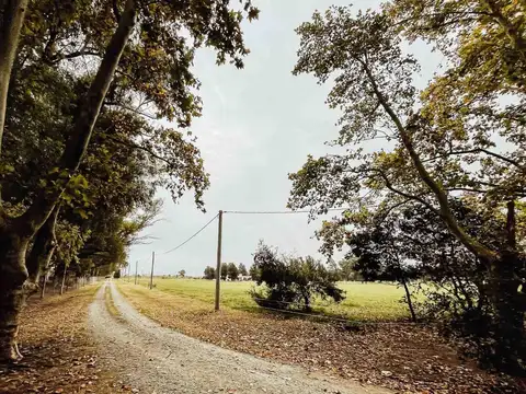 Terreno en Venta de 7916,0 m2