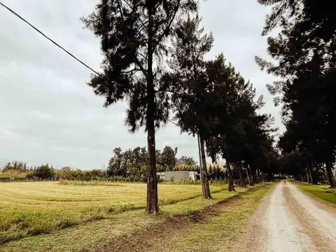 Estancia Las Malvinas - Los Álamos