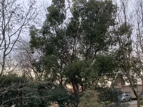 Terreno en Venta de 1100,0 m2