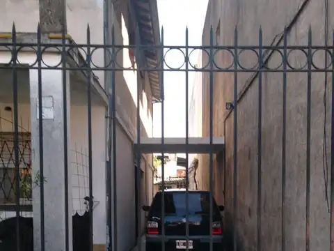Campichuelo  4941