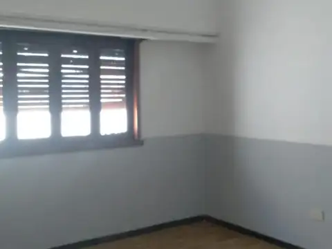 Campichuelo  4941