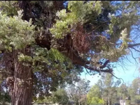 Terreno en Venta en Manzanares, USD 45.000