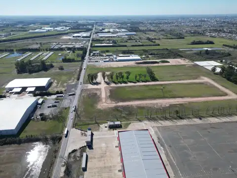 Camino de la Costa Brava km 3