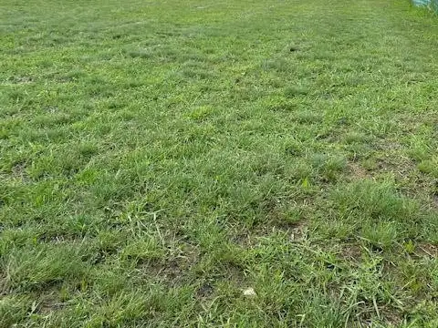Terreno Lote  en Venta ubicado en Santa Elena, Pilar del Este, Pilar